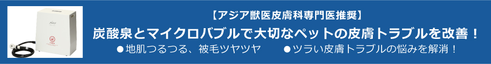 炭酸泉＆マイクロバブル